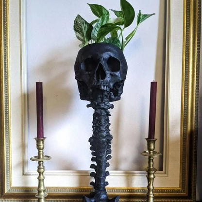 🔥Spinal skull Flower Pot🎃