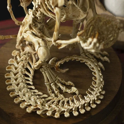 WENDIGO SKELETON CURIOSITY CABINET